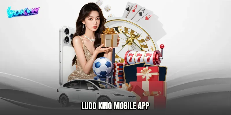 Ludo King mobile app